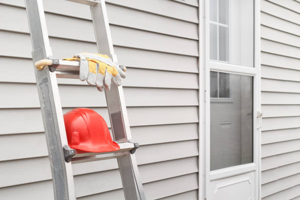 Best Custom Siding Design  in Bonita, CA