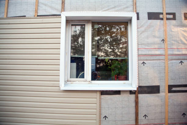 Best Insulated Siding Installation  in Bonita, CA