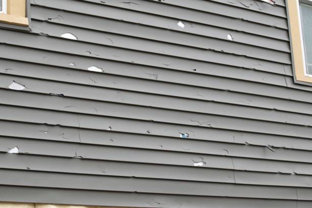 Best Stone Veneer Siding  in Bonita, CA